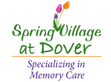 Spring Village at Dover logo