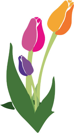 tulip